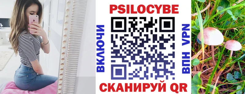 где купить наркоту  Пятигорск  Галлюциногенные грибы GOLDEN TEACHER 